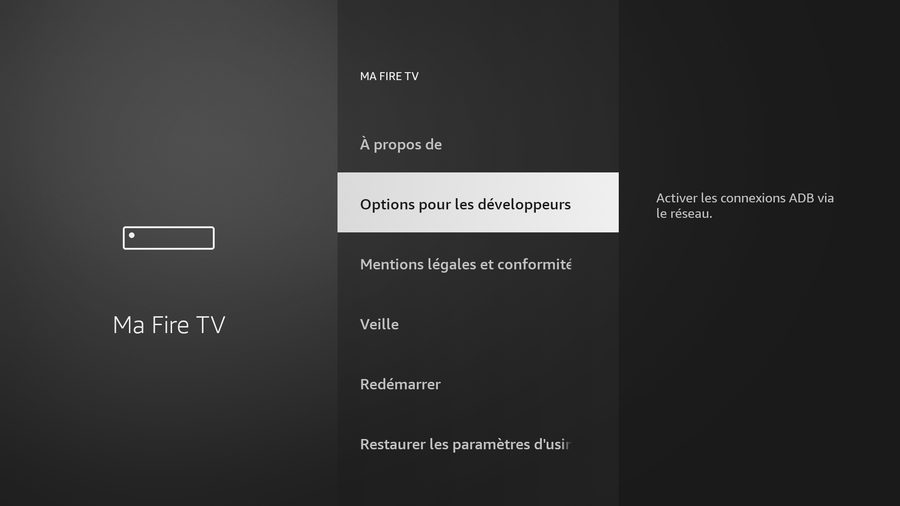Options pour les développeurs